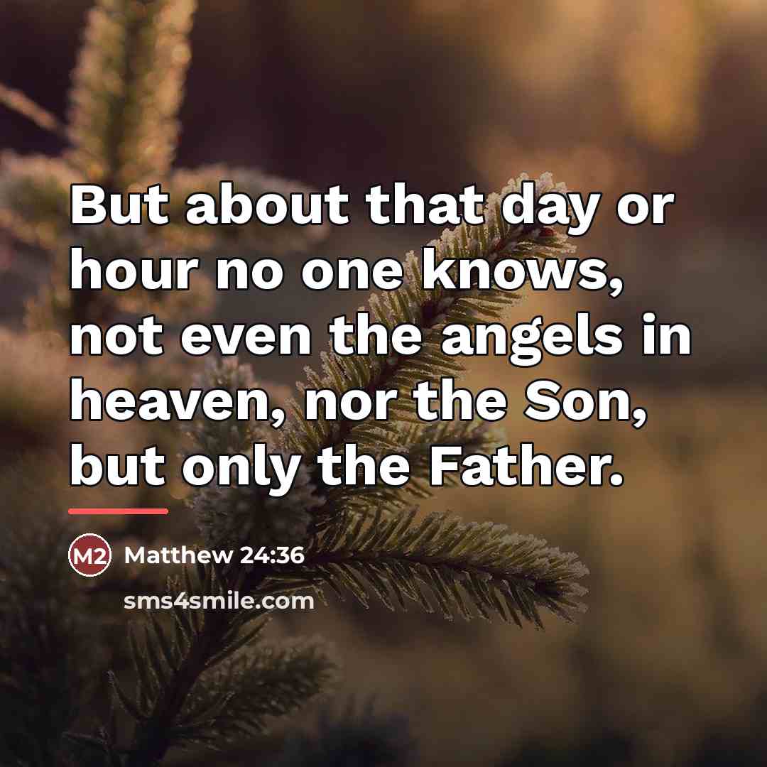 “But about that day or hour no one knows, not…” quote by Matthew 24:36