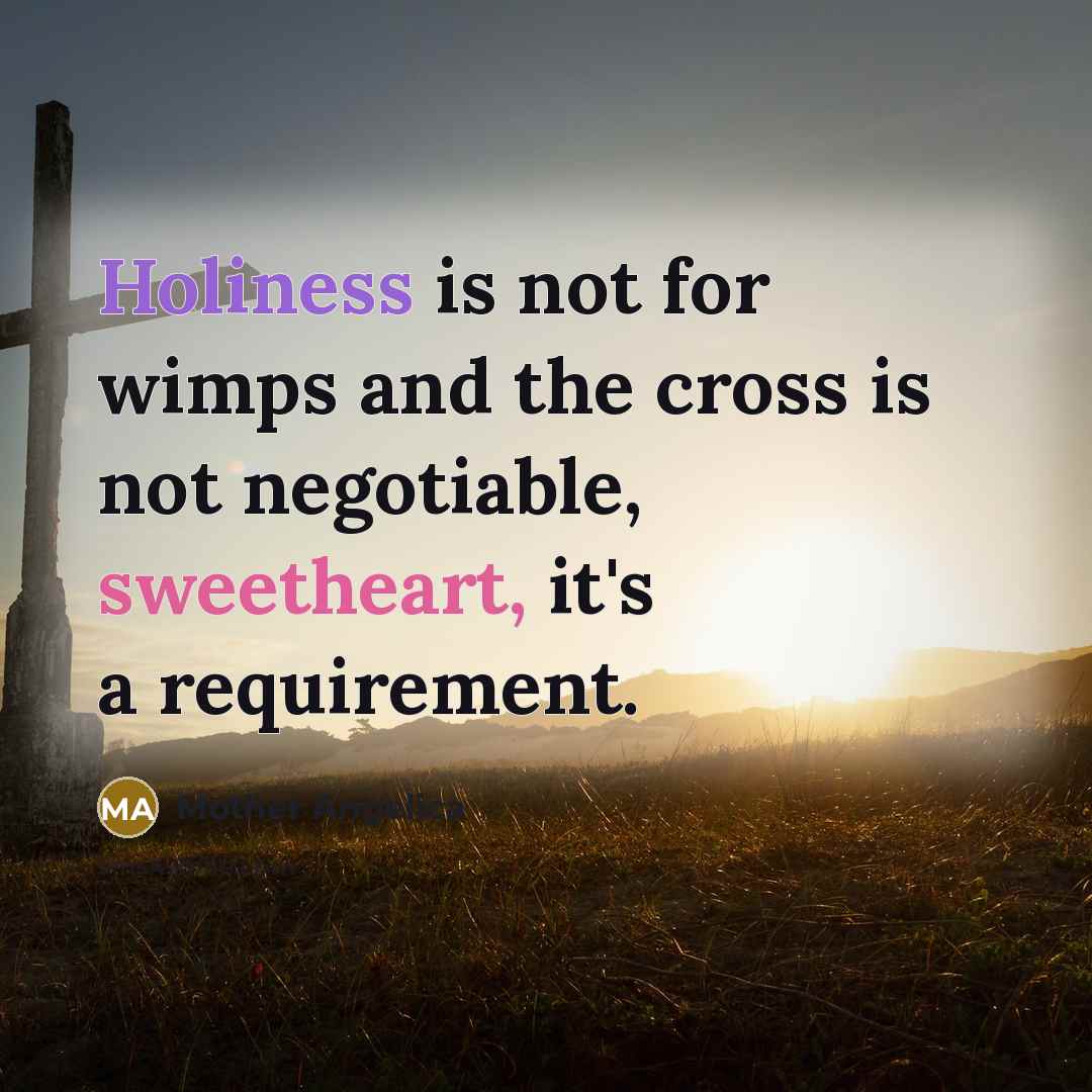 “Holiness is not for wimps and the cross is not negotiable, sweetheart, it's a requirement.” quote by Mother Angelica
