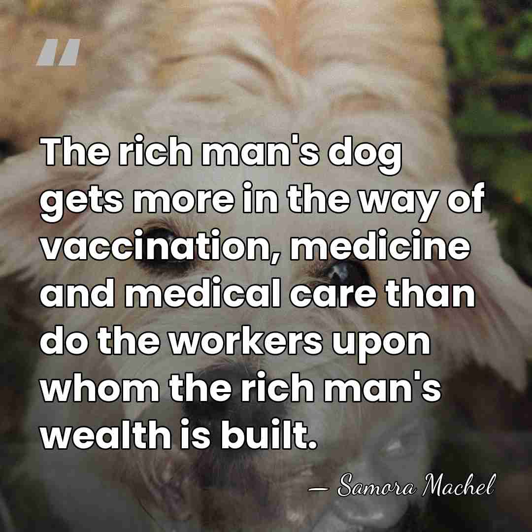 The rich man's dog gets more in the way of vaccination, medicine&hellip; - Samora Machel