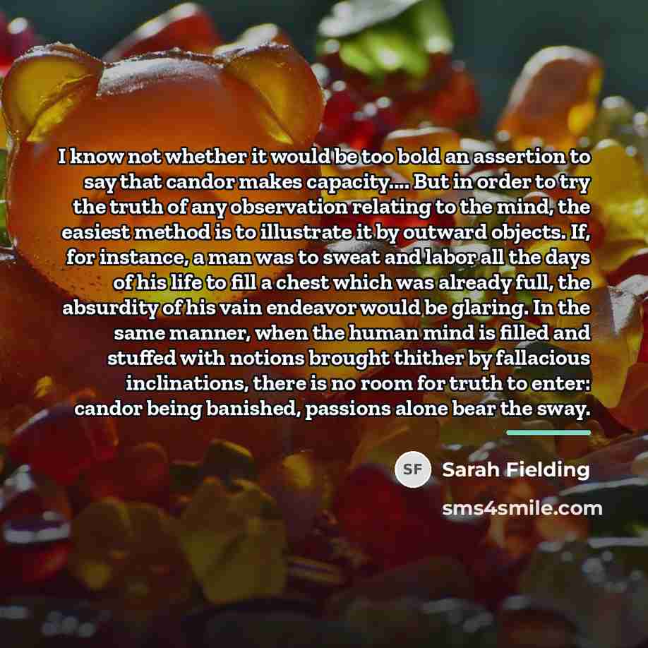 “I know not whether it would be too bold an…” quote by Sarah Fielding
