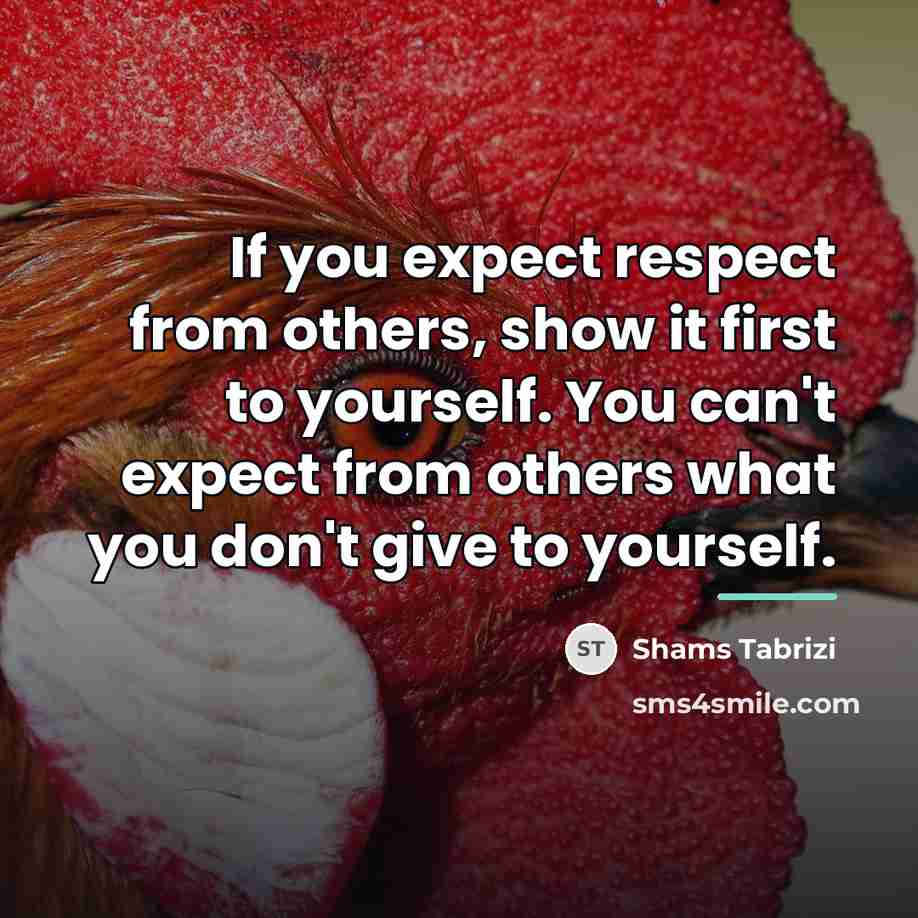 “If you expect respect from others, show it first to…” quote by Shams Tabrizi