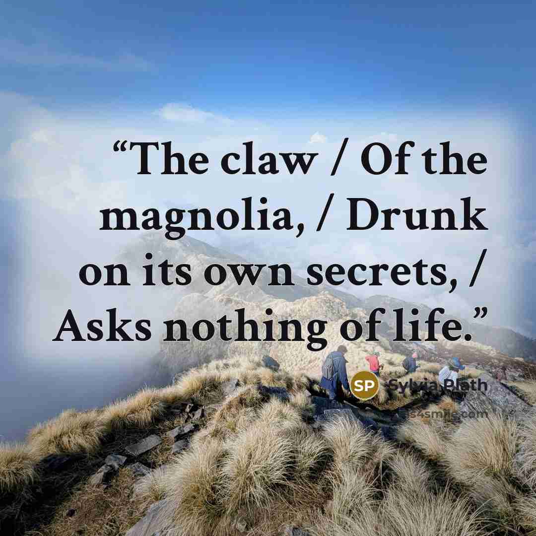 “The claw / Of the magnolia, / Drunk on its own secrets, / Asks nothing of life.” quote by Sylvia Plath