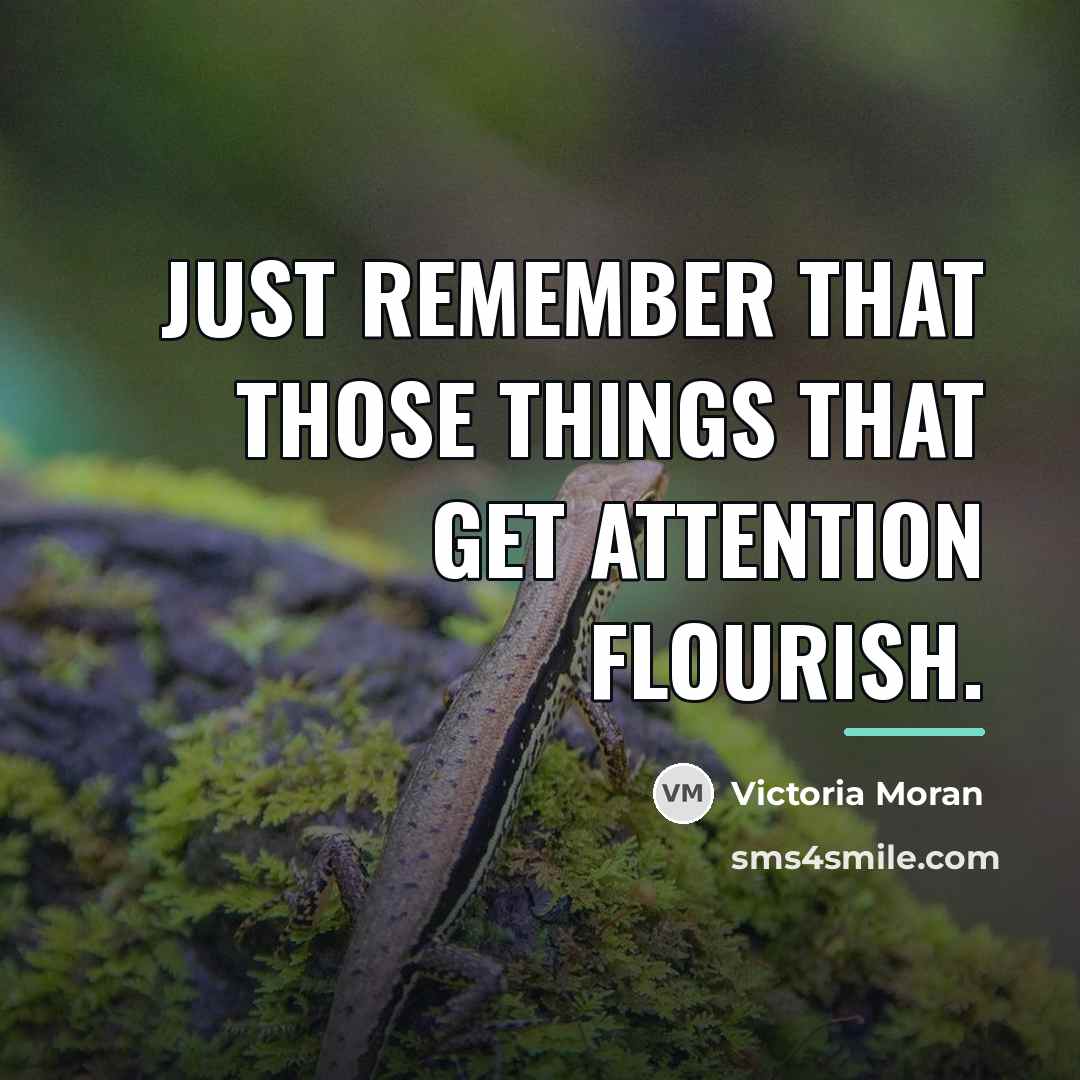 “Just remember that those things that get attention flourish.…” quote by Victoria Moran