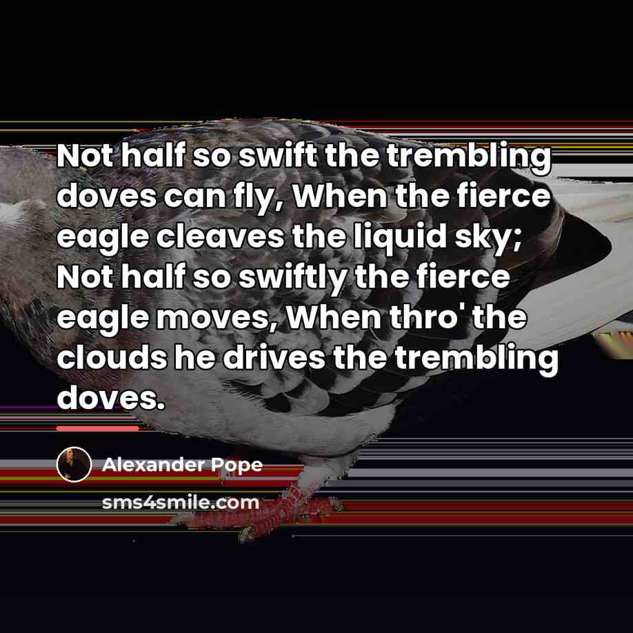 “Not half so swift the trembling doves can fly, When…” quote by Alexander Pope