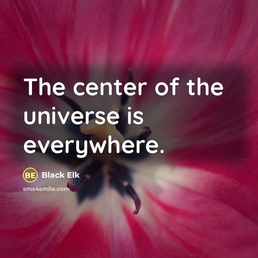 “The center of the universe is everywhere.” quote by Black Elk