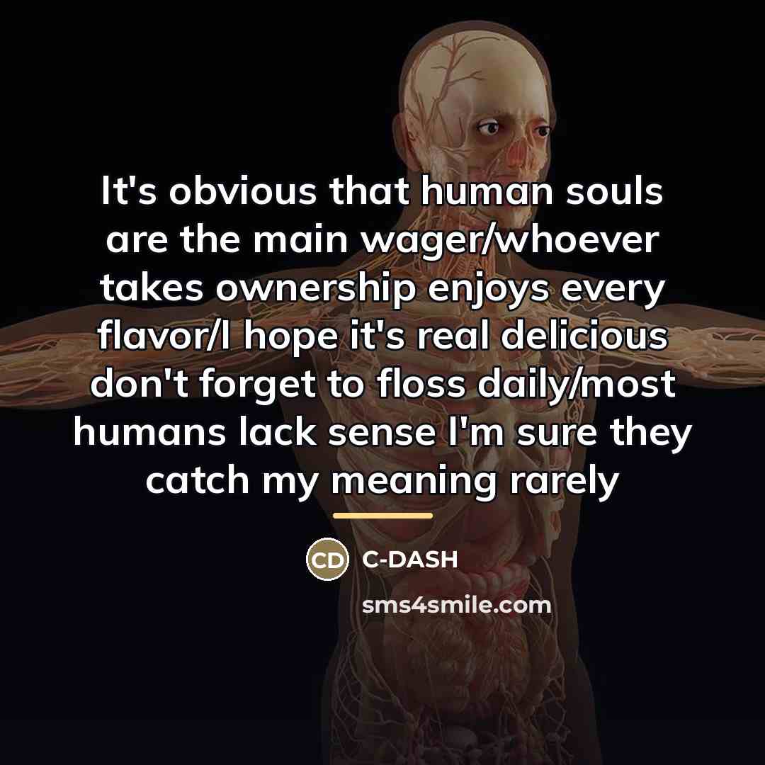 “It's obvious that human souls are the main wager/whoever takes…” quote by C-DASH