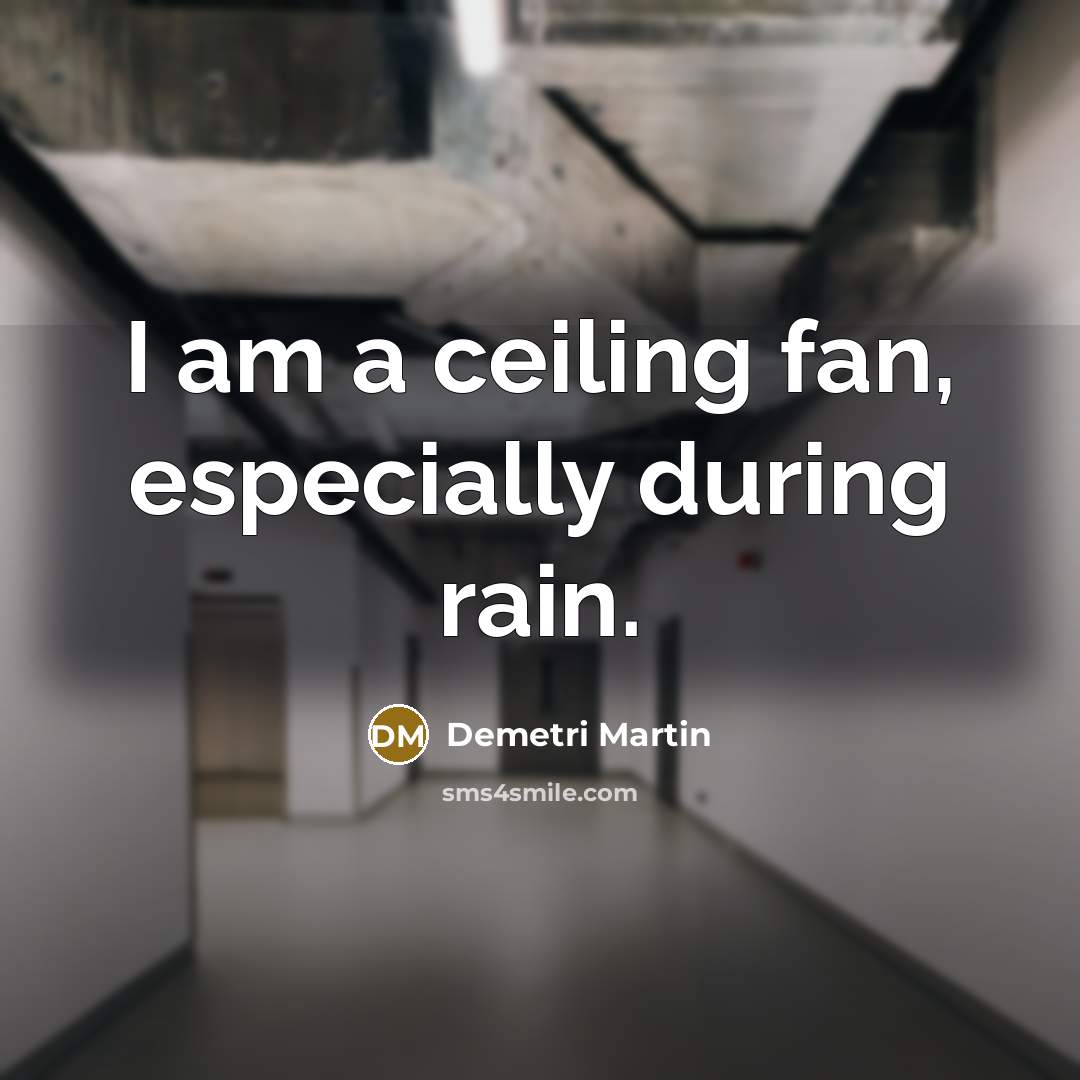 “I am a ceiling fan, especially during rain.…” quote by Demetri Martin