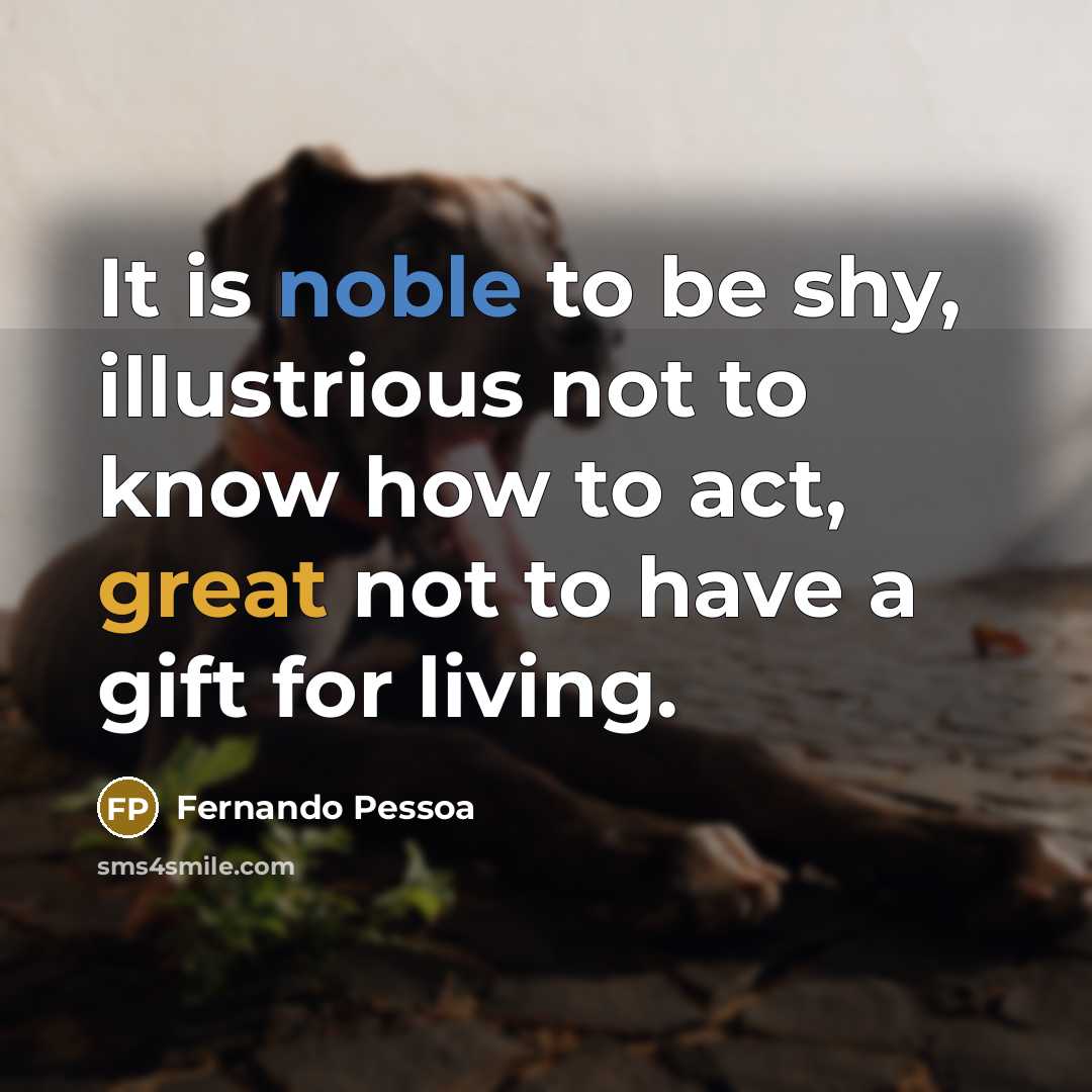 “It is noble to be shy, illustrious not to know…” quote by Fernando Pessoa