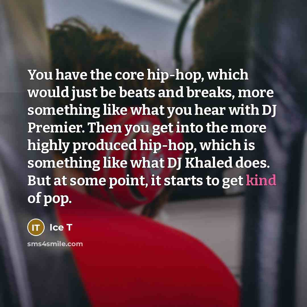 “You have the core hip-hop, which would just be beats…” quote by Ice T