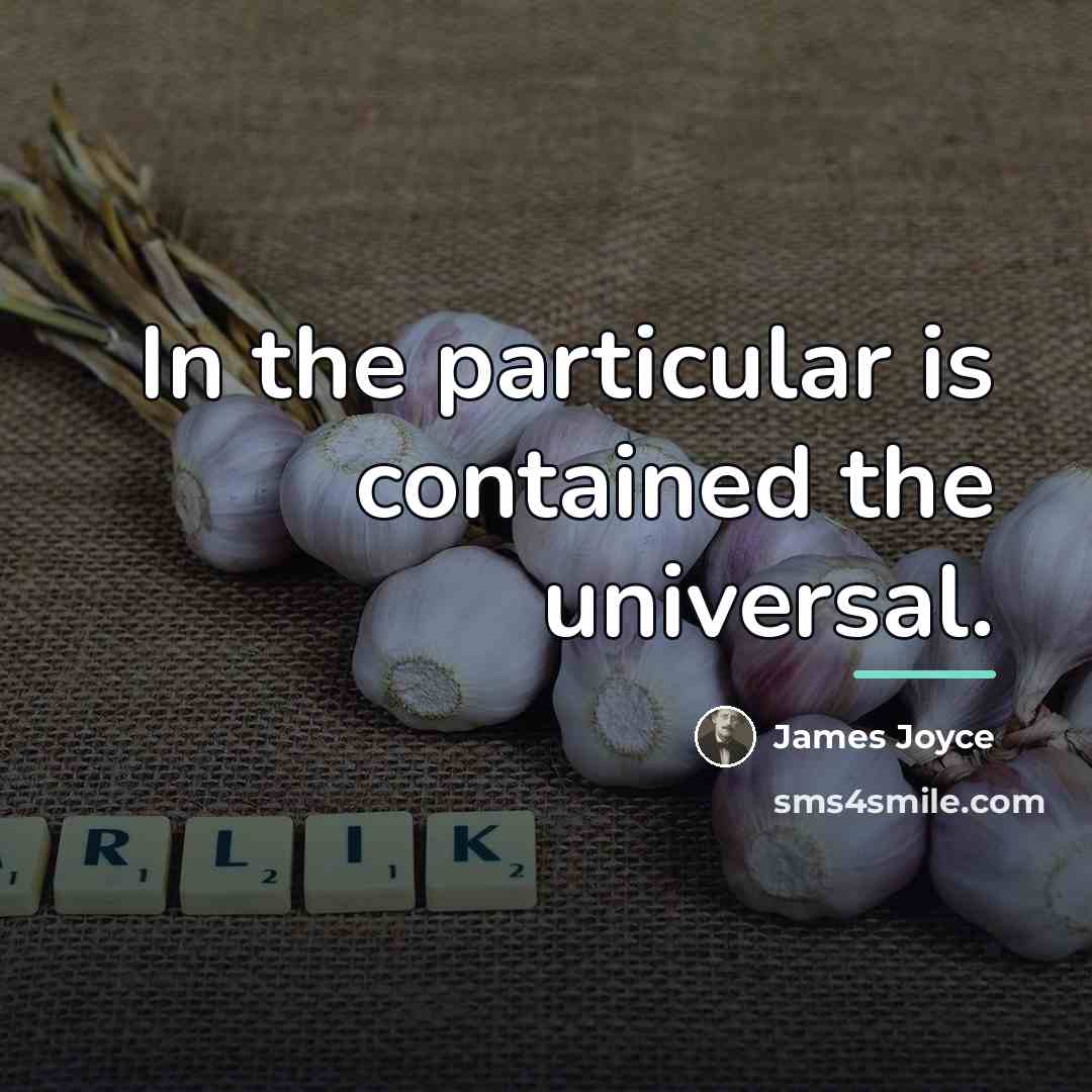 “In the particular is contained the universal.…” quote by James Joyce
