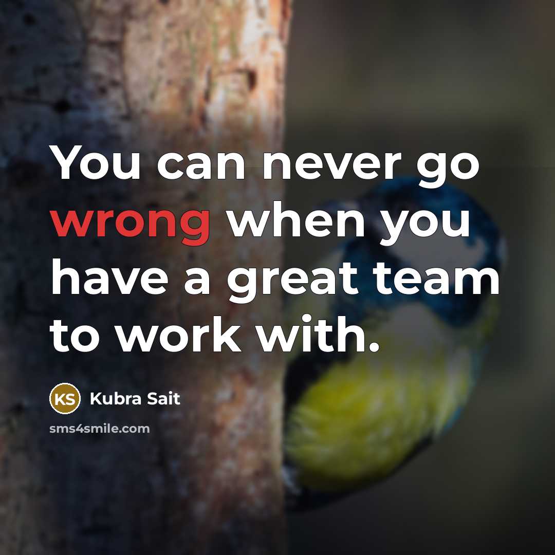 “You can never go wrong when you have a great…” quote by Kubra Sait