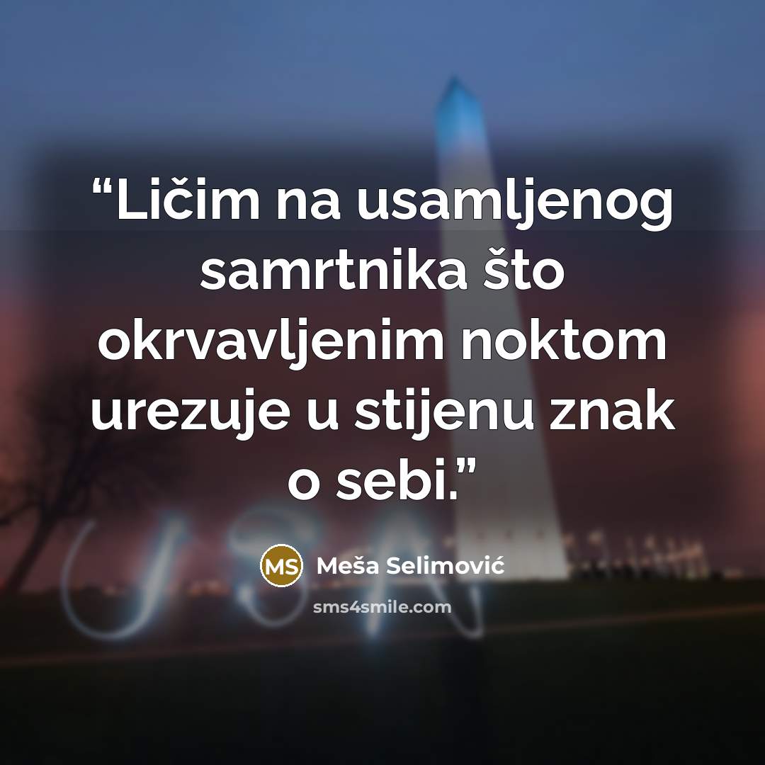 “Ličim na usamljenog samrtnika što okrvavljenim noktom urezuje u stijenu znak o sebi.” quote by Meša Selimović