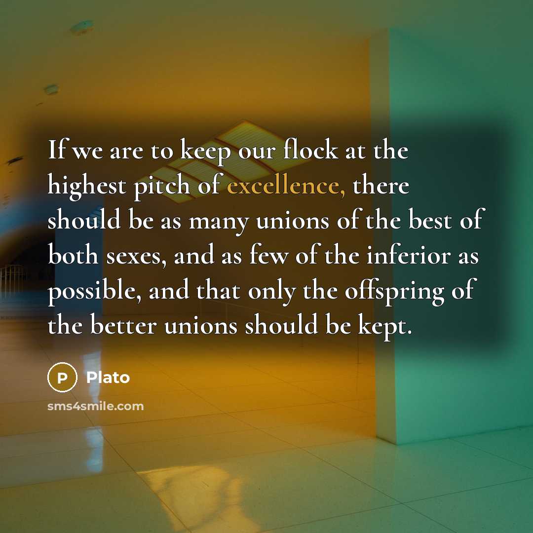 “If we are to keep our flock at the highest…” quote by Plato