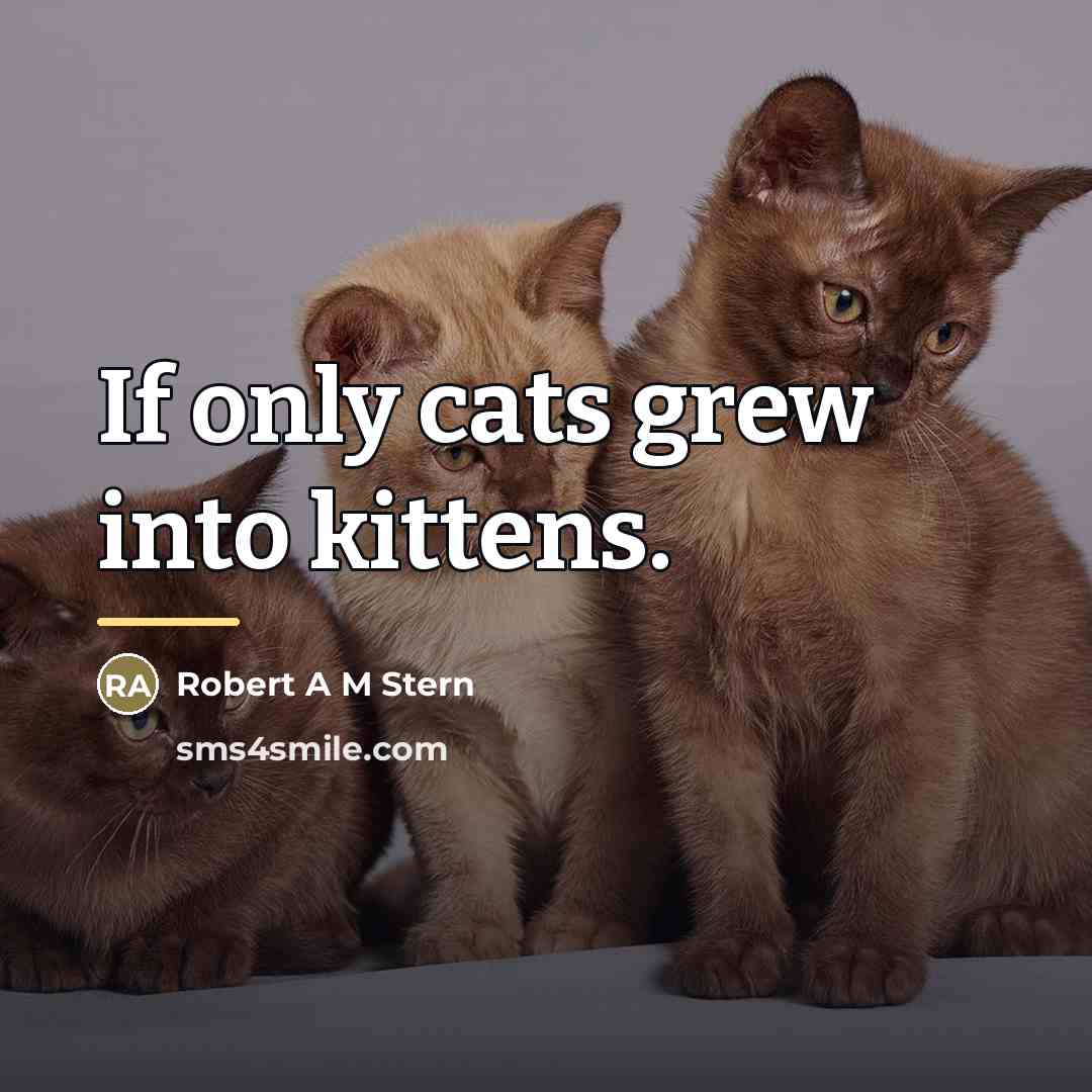 “If only cats grew into kittens.…” quote by Anonymous