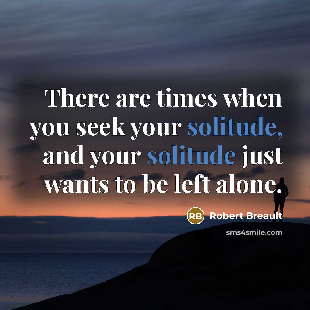 “There are times when you seek your solitude, and your…” quote by Robert Breault