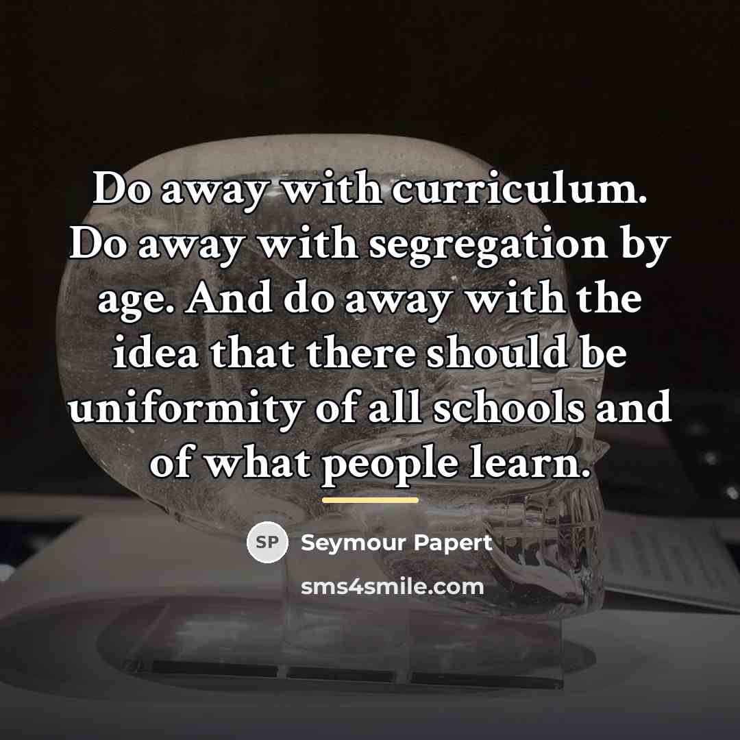 “Do away with curriculum. Do away with segregation by age.…” quote by Seymour Papert