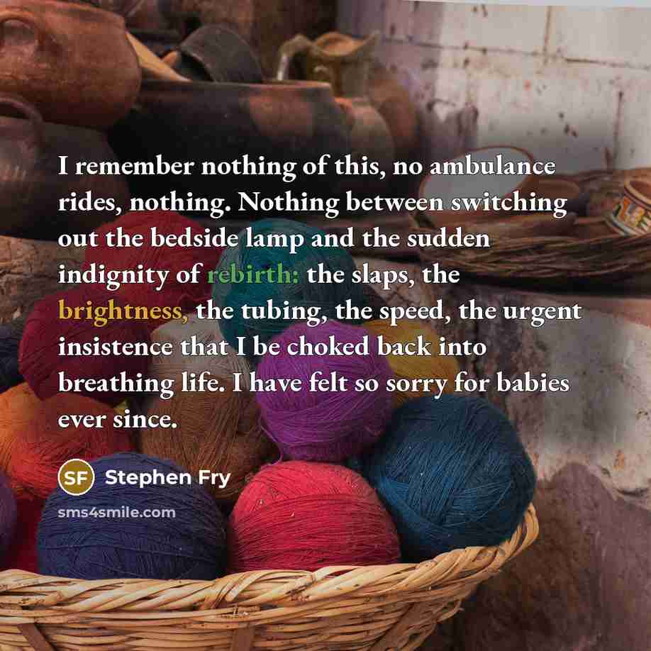 “I remember nothing of this, no ambulance rides, nothing. Nothing…” quote by Stephen Fry