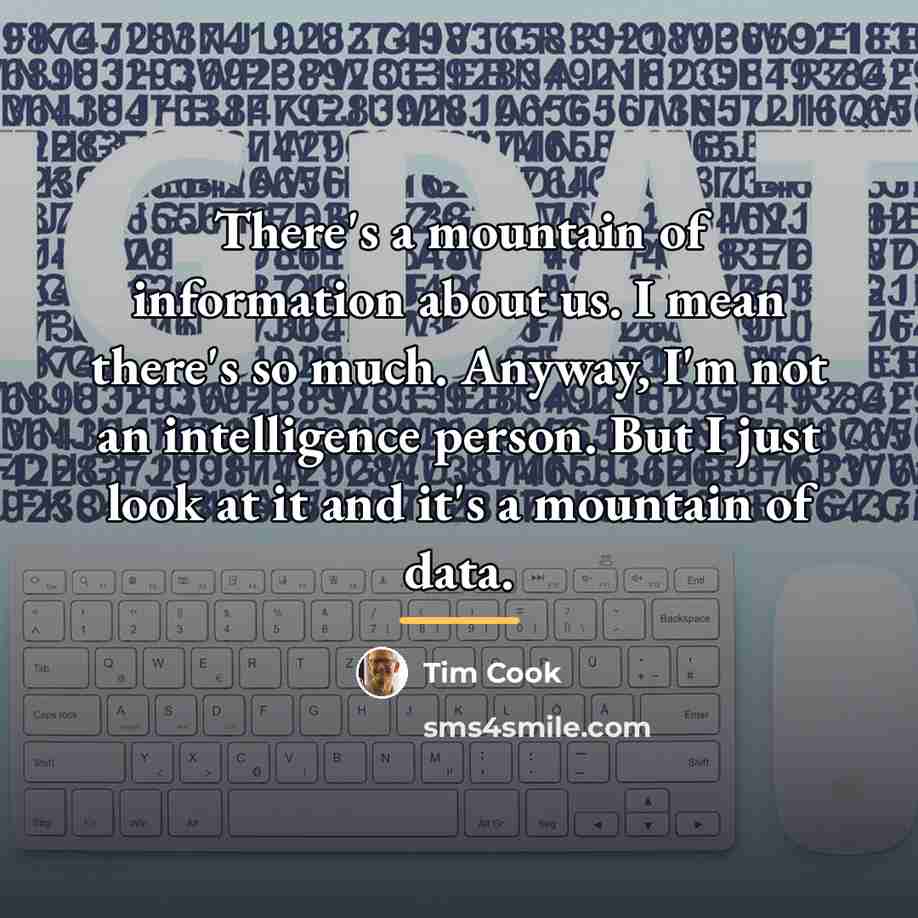 “There's a mountain of information about us. I mean there's…” quote by Tim Cook