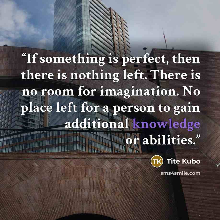 “If something is perfect, then there is nothing left. There is no room for imagination. No place left for a person to gain additional knowledge or abilities.” quote by Tite Kubo