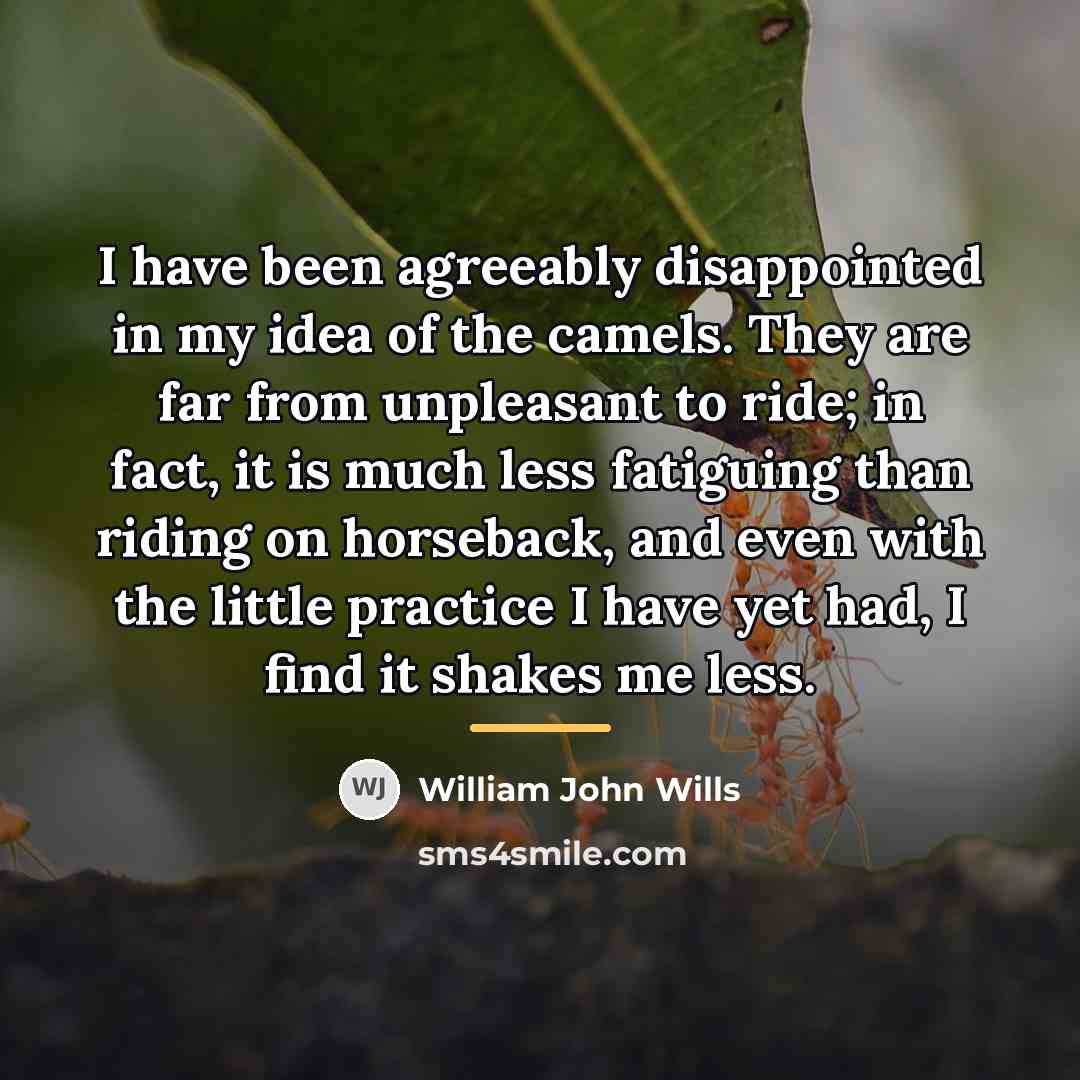 “I have been agreeably disappointed in my idea of the…” quote by William John Wills