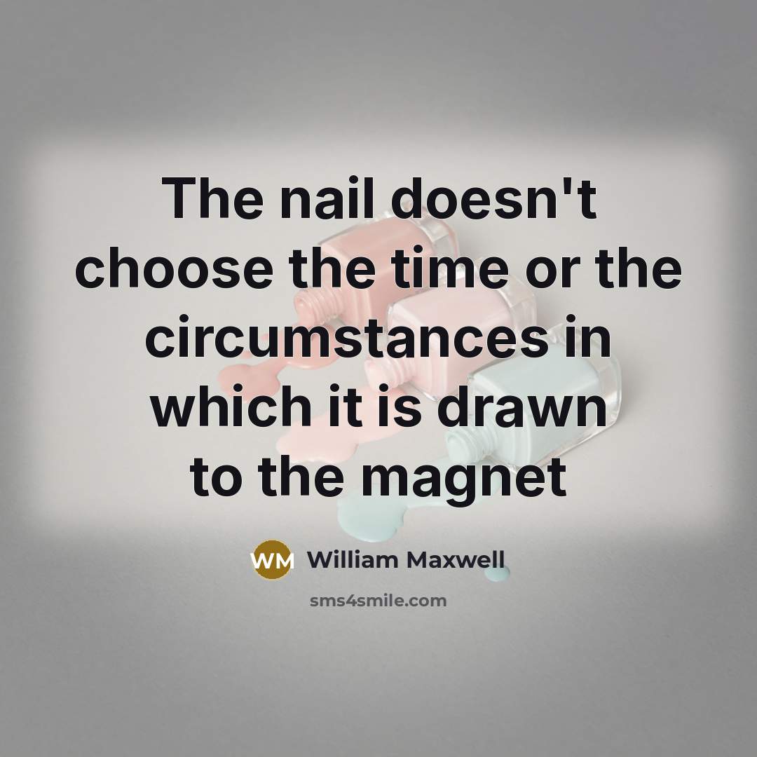 “The nail doesn't choose the time or the circumstances in…” quote by William Maxwell