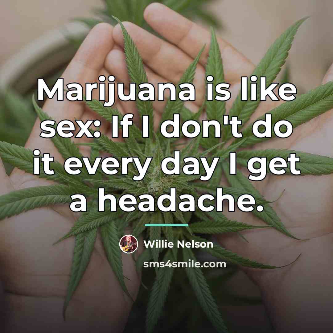 “Marijuana is like sex: If I don't do it every…” quote by Willie Nelson