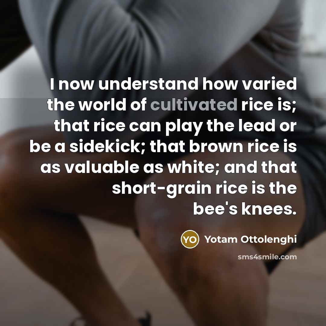 “I now understand how varied the world of cultivated rice…” quote by Yotam Ottolenghi