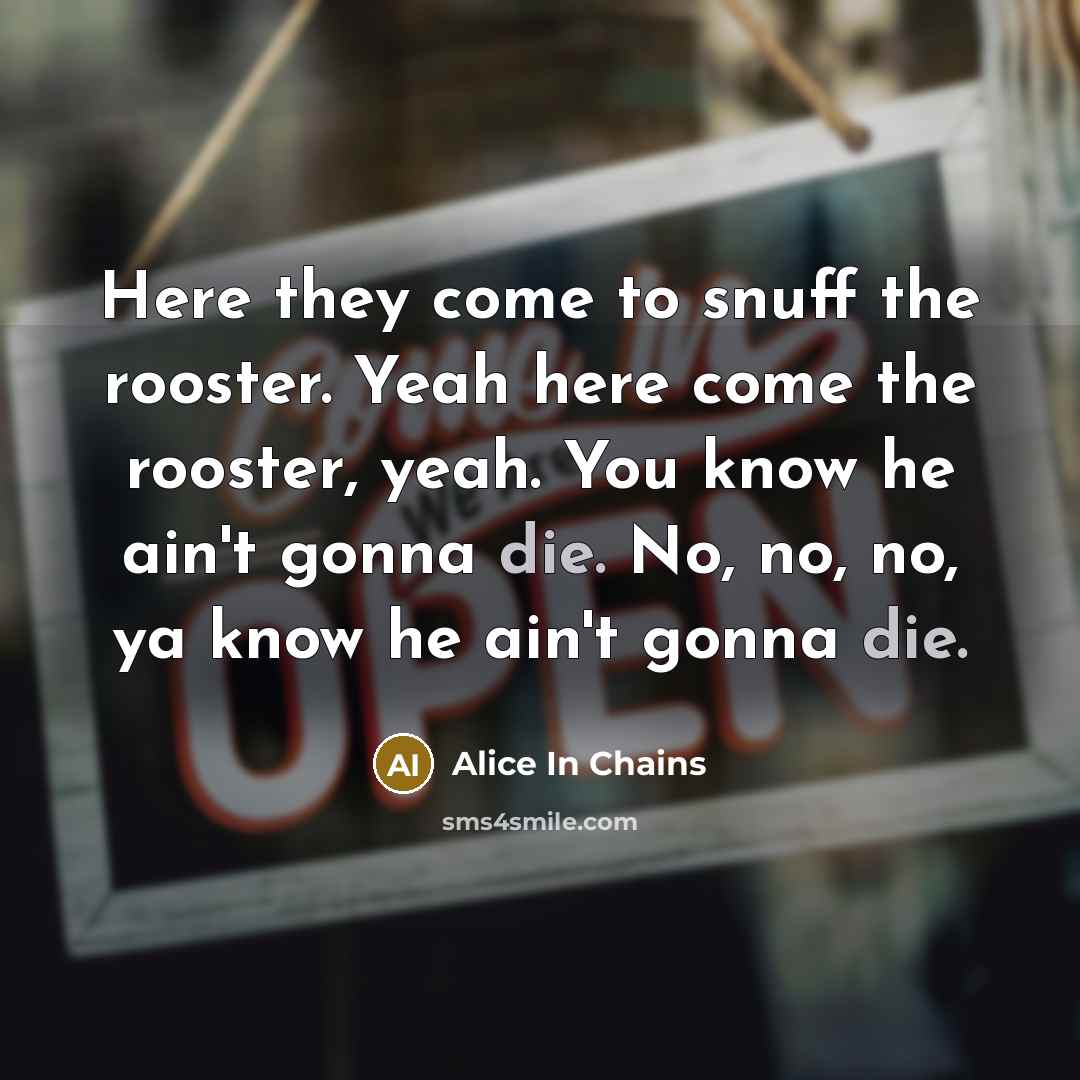 “Here they come to snuff the rooster. Yeah here come…” quote by Alice In Chains