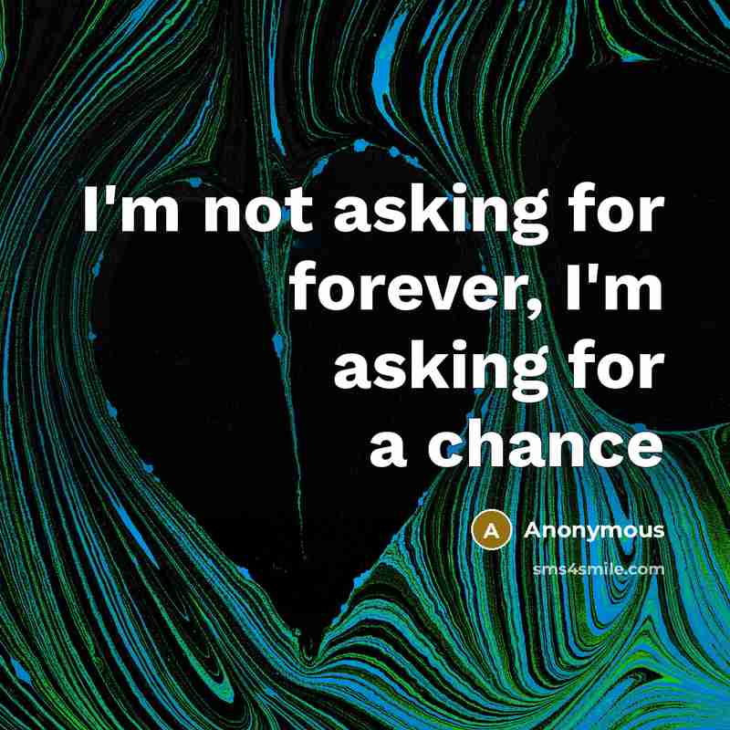 “I'm not asking for forever, I'm asking for a chance” quote by Anonymous