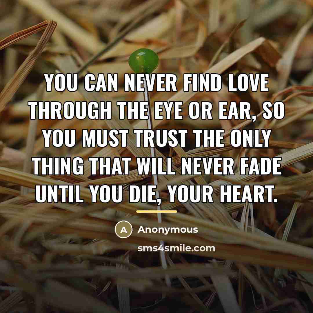 “You can never find love through the eye or ear,…” quote by Anonymous