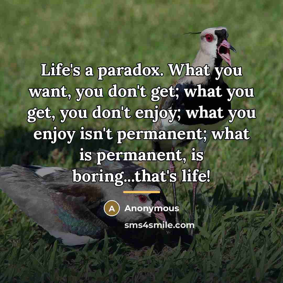 “Life's a paradox. What you want, you don't get; what…” quote by Anonymous