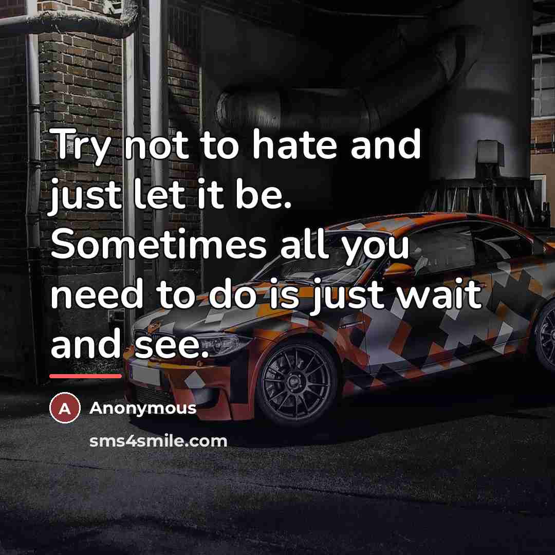 “Try not to hate and just let it be. Sometimes…” quote by Anonymous