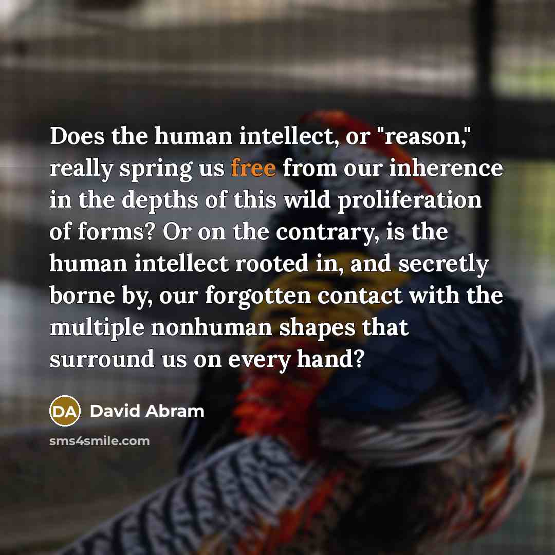 “Does the human intellect, or "reason," really spring us free…” quote by David Abram
