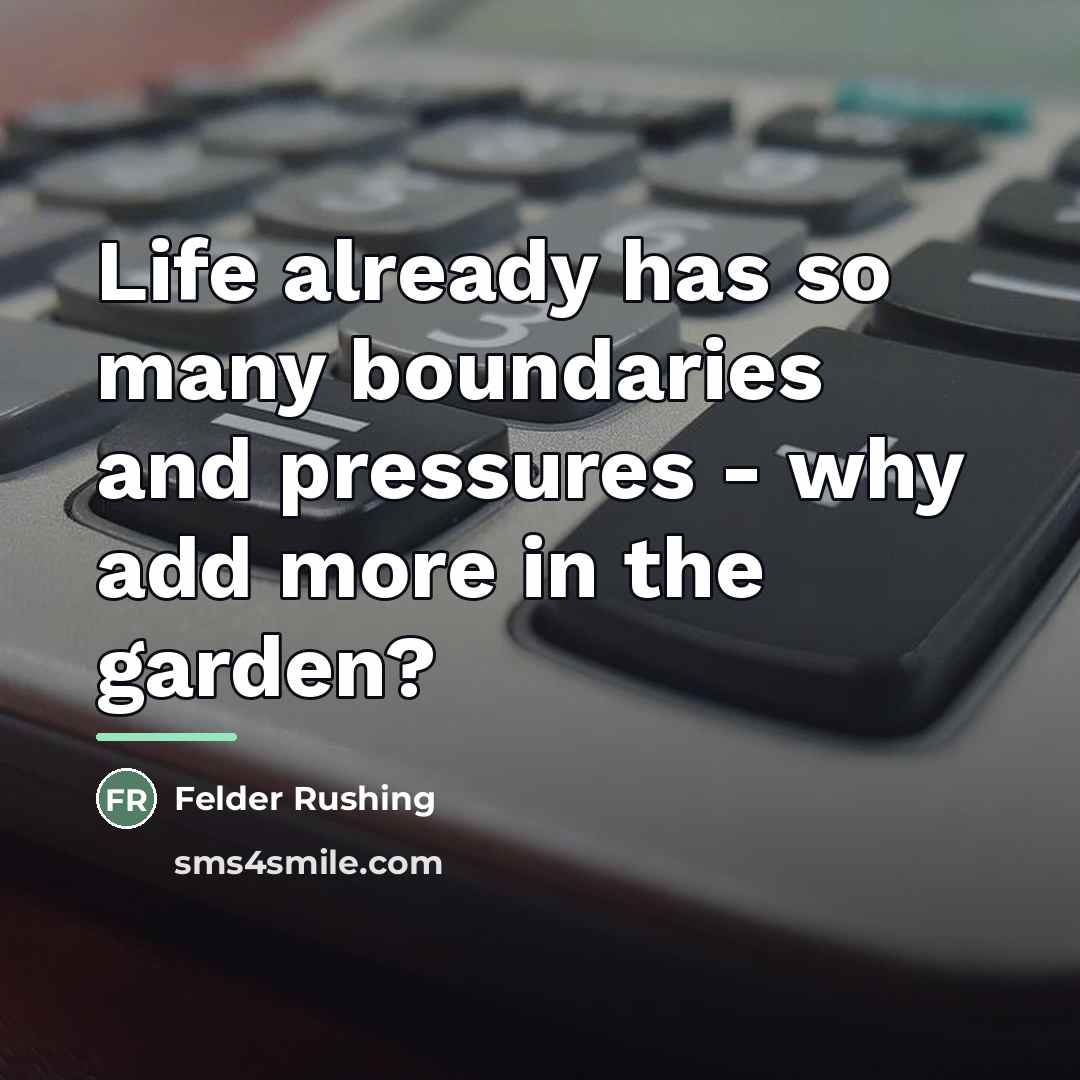 “Life already has so many boundaries and pressures - why…” quote by Felder Rushing