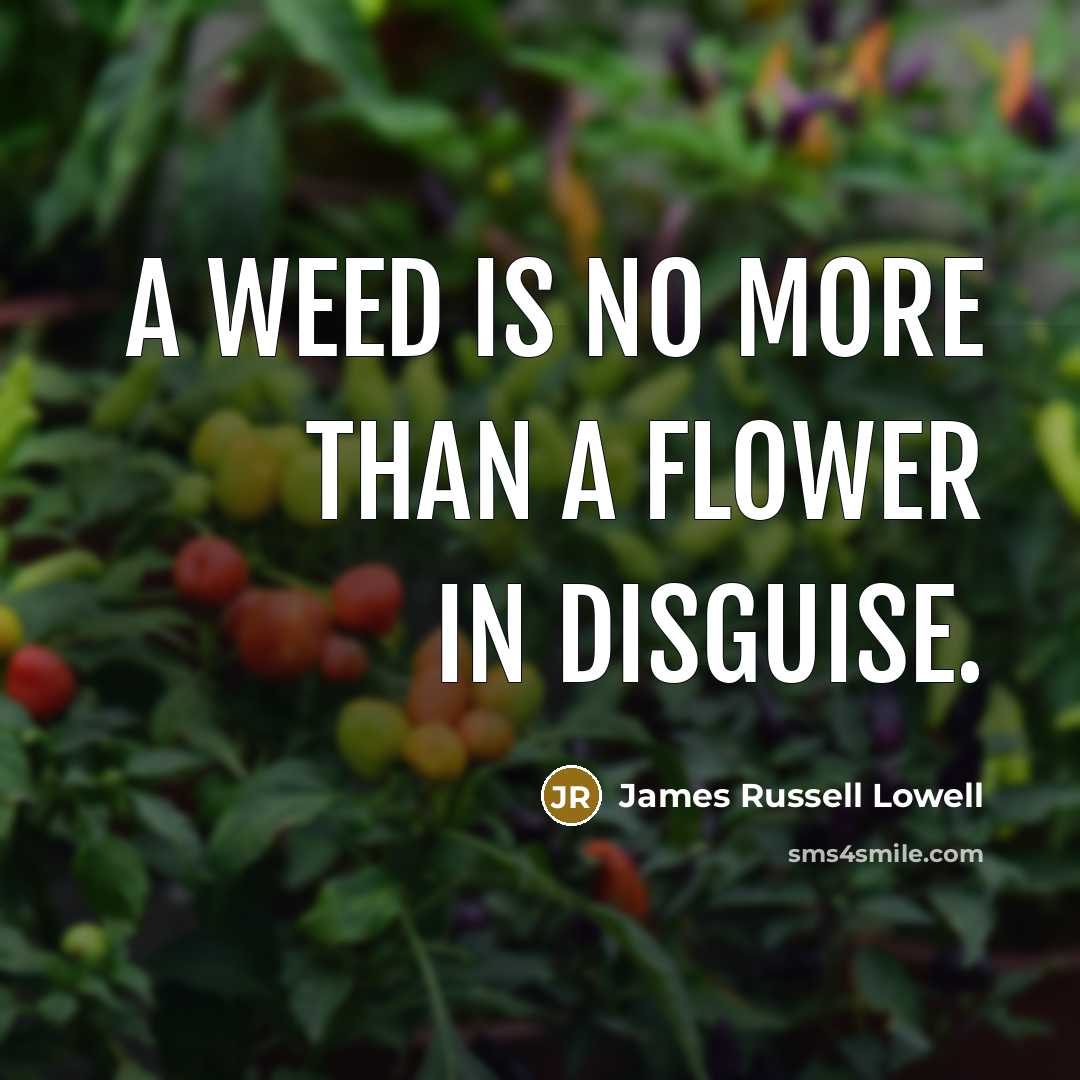 “A weed is no more than a flower in disguise.…” quote by James Russell Lowell