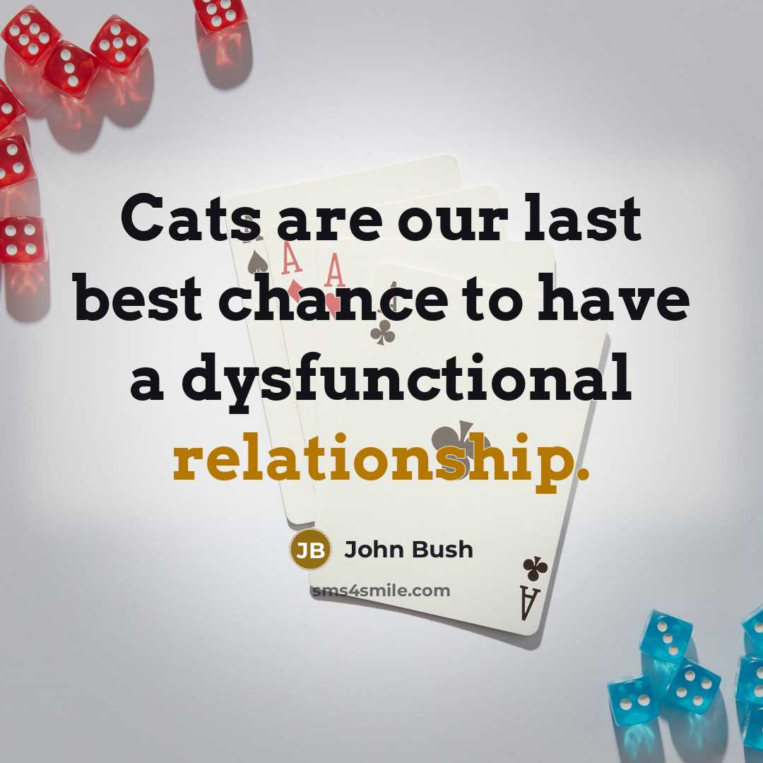 “Cats are our last best chance to have a dysfunctional…” quote by John Bush