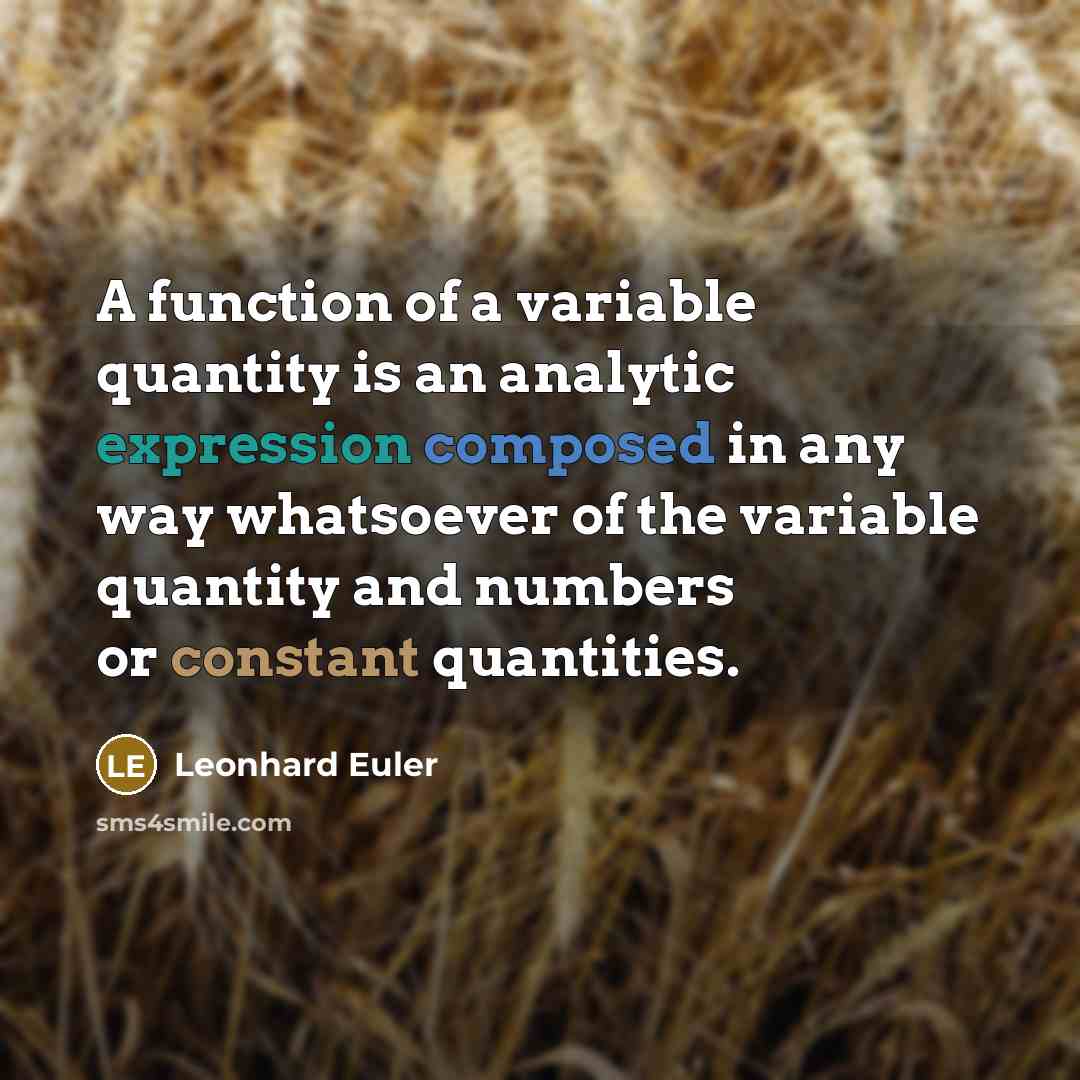 “A function of a variable quantity is an analytic expression composed in any way whatsoever of the variable quantity and numbers or constant quantities.” quote by Leonhard Euler
