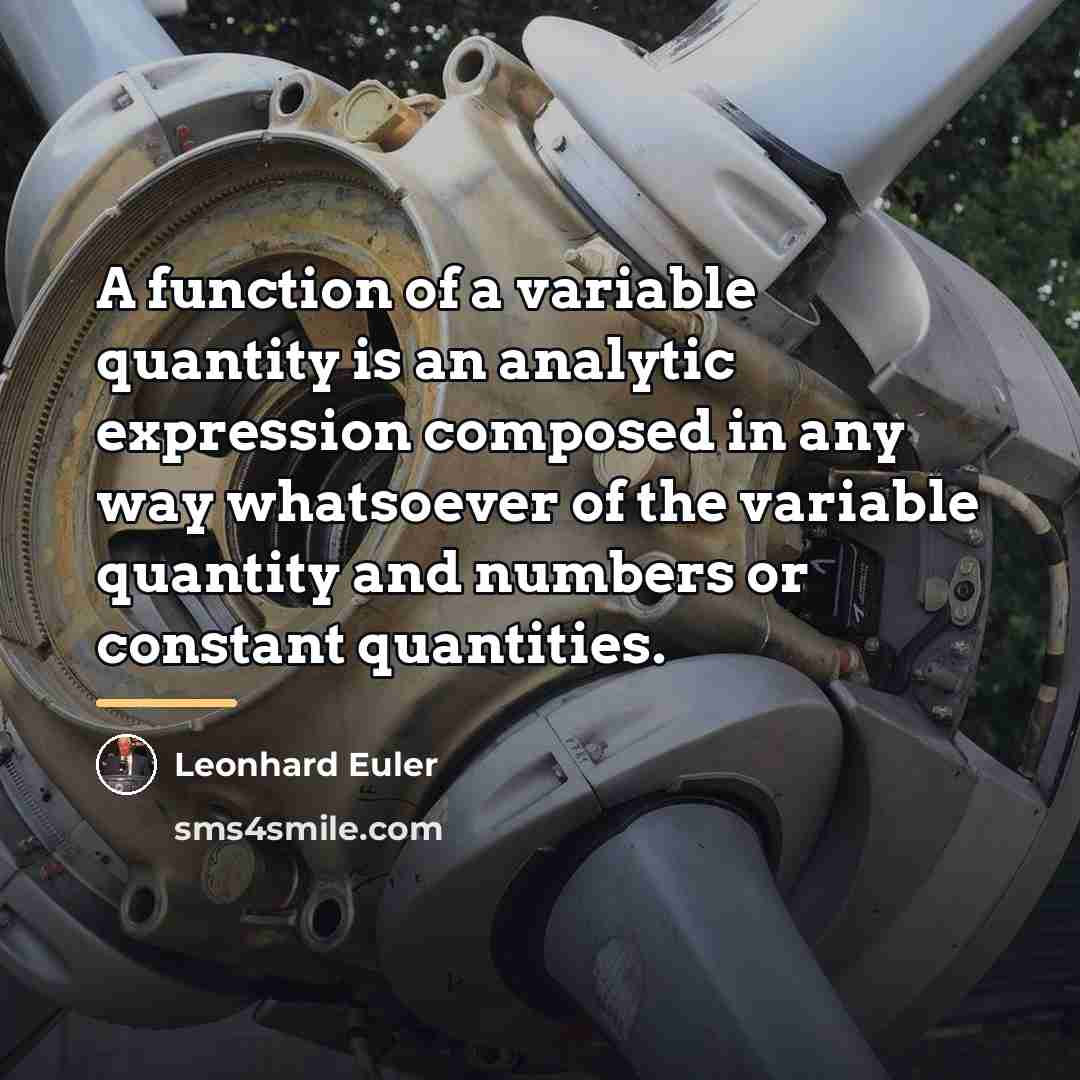 “A function of a variable quantity is an analytic expression…” quote by Leonhard Euler
