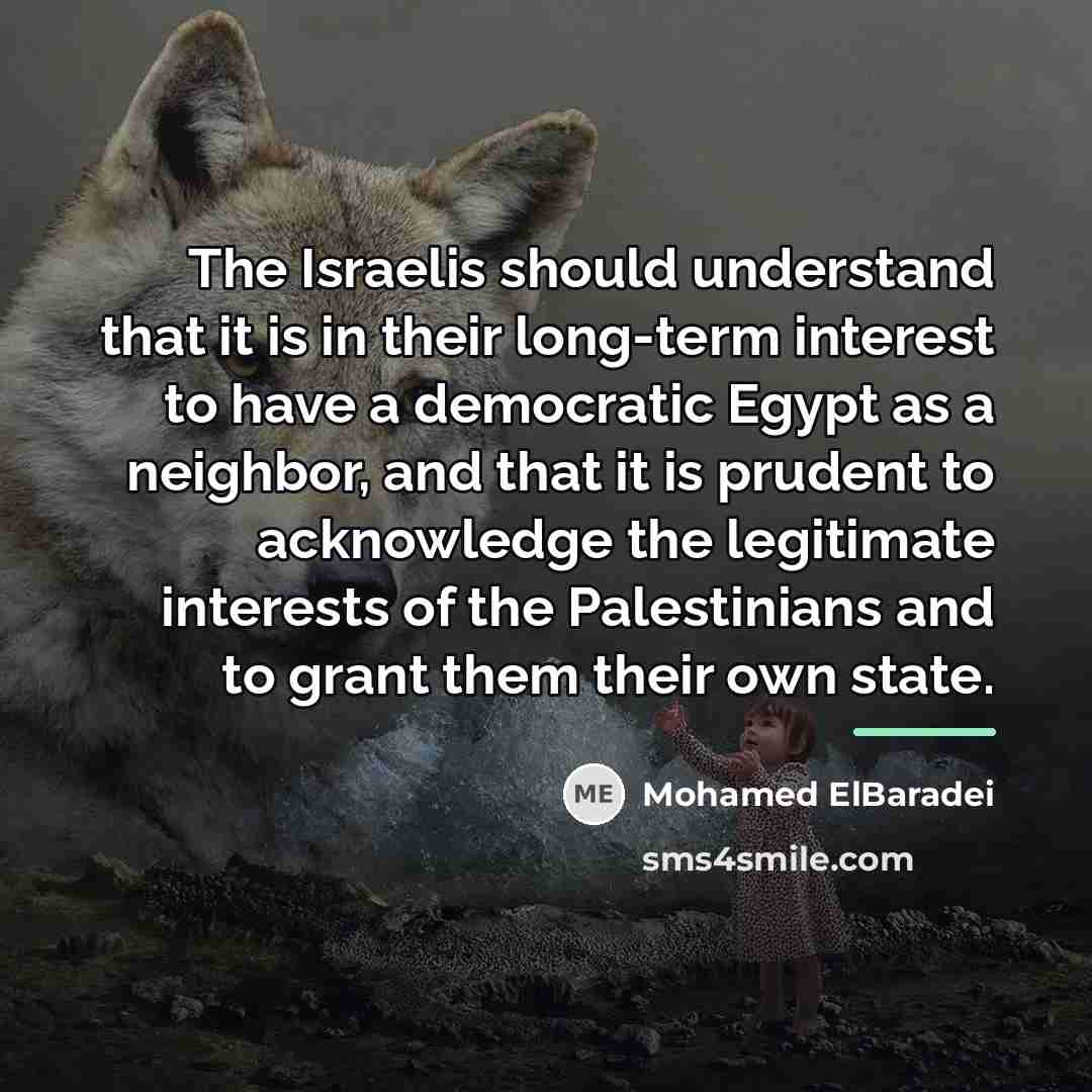 “The Israelis should understand that it is in their long-term…” quote by Mohamed ElBaradei
