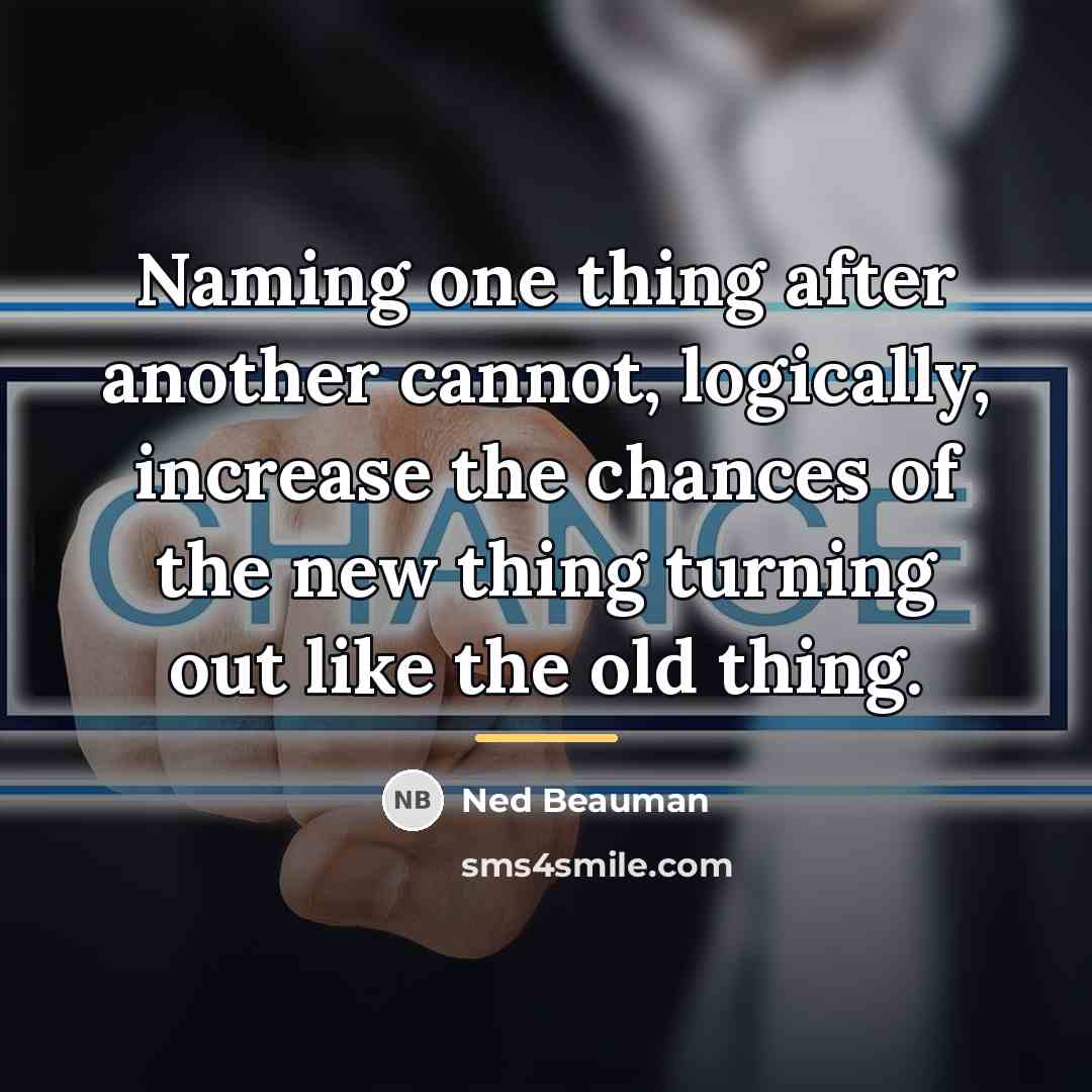 “Naming one thing after another cannot, logically, increase the chances…” quote by Ned Beauman
