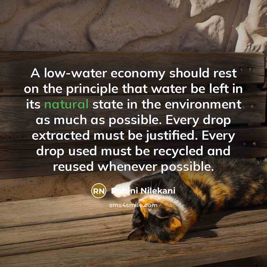 “A low-water economy should rest on the principle that water…” quote by Rohini Nilekani