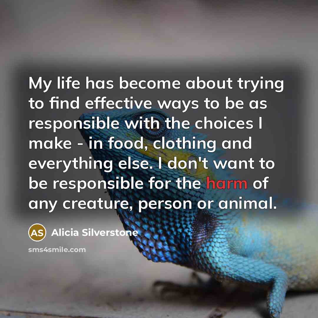 “My life has become about trying to find effective ways…” quote by Alicia Silverstone