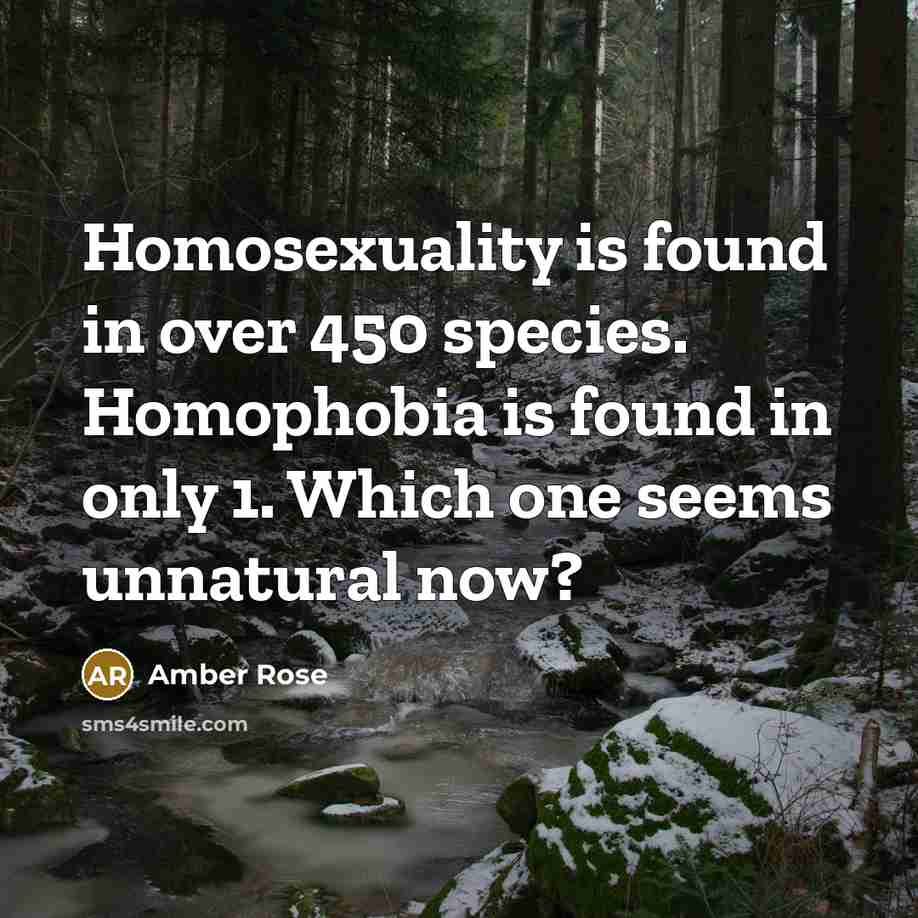 “Homosexuality is found in over 450 species. Homophobia is found…” quote by Amber Rose