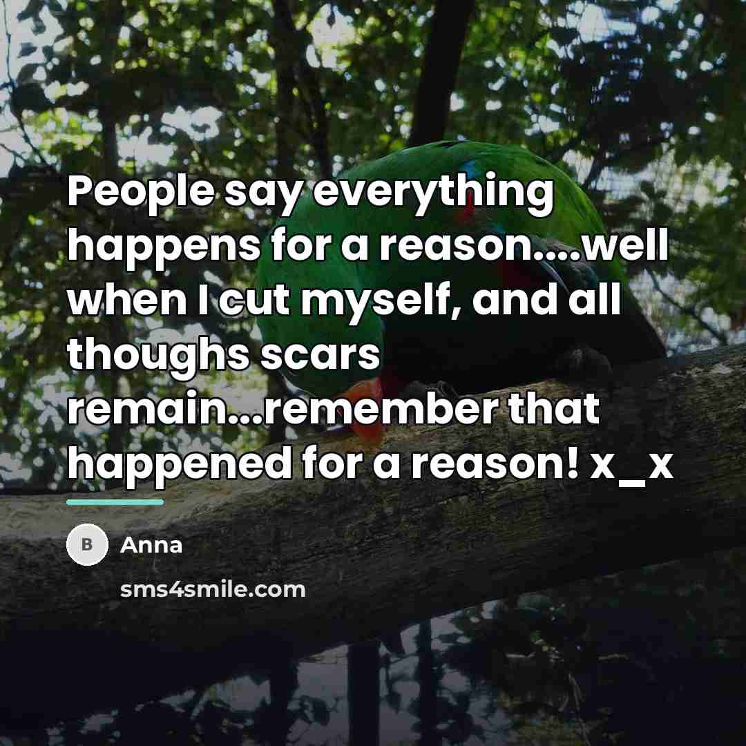 “People say everything happens for a reason....well when I cut…” quote by Anna