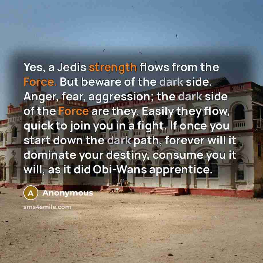 “Yes, a Jedis strength flows from the Force. But beware of the dark side. Anger, fear, aggression; the dark side of the Force are they. Easily they flow, quick to join you in a fight. If once you start down the dark path, forever will it dominate your destiny, consume you it will, as it did…” quote by Anonymous