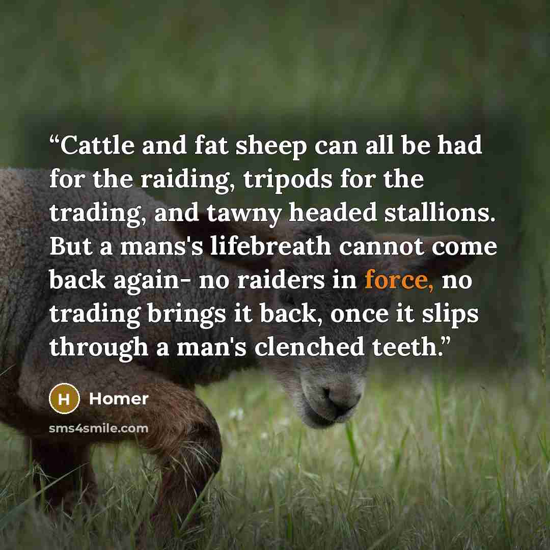 “Cattle and fat sheep can all be had for the raiding, tripods for the trading, and tawny headed stallions. But a mans's lifebreath cannot come back again- no raiders in force, no trading brings it back, once it slips through a man's clenched teeth.” quote by Homer