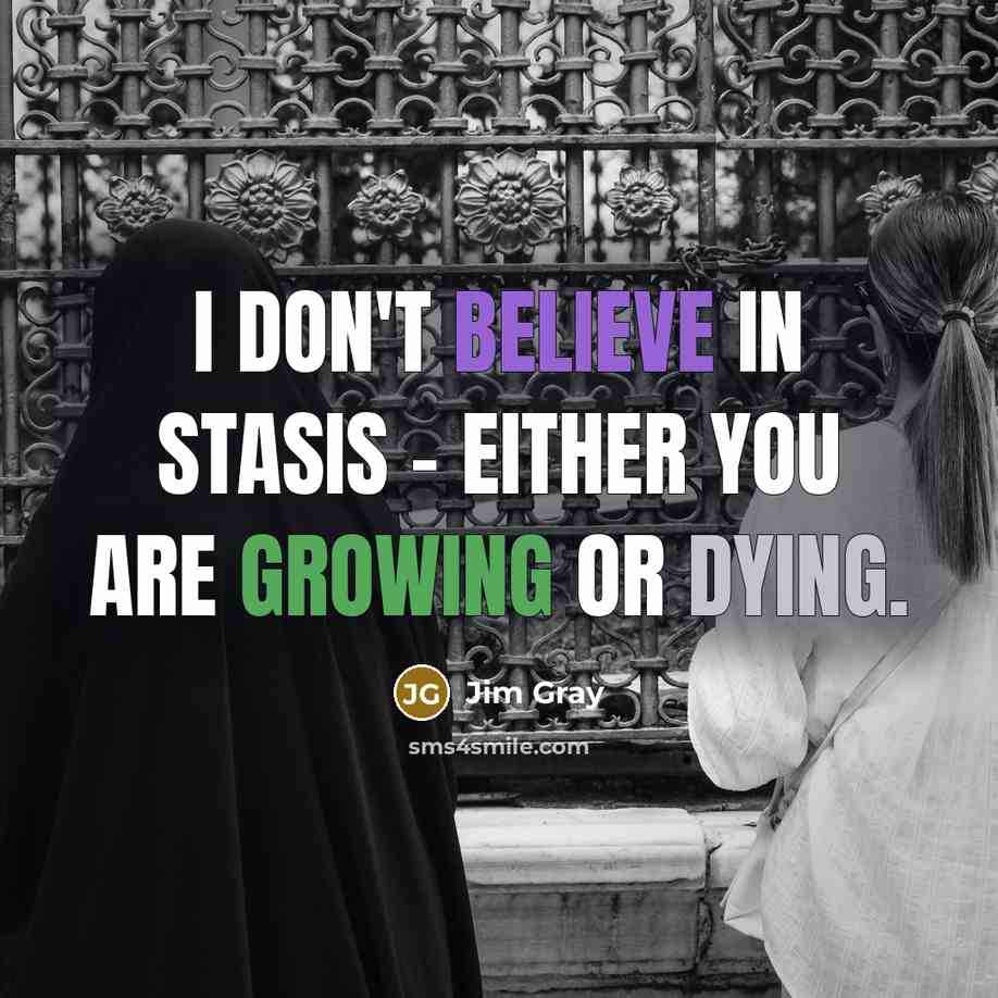 “I don't believe in stasis - either you are growing…” quote by Jim Gray