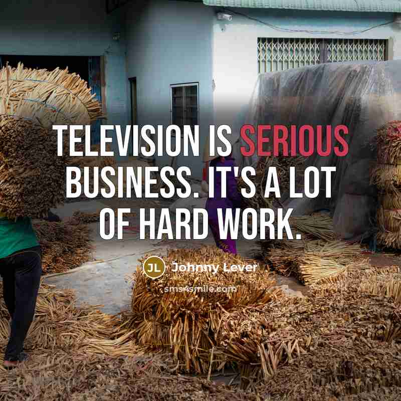 “Television is serious business. It's a lot of hard work.…” quote by Johnny Lever