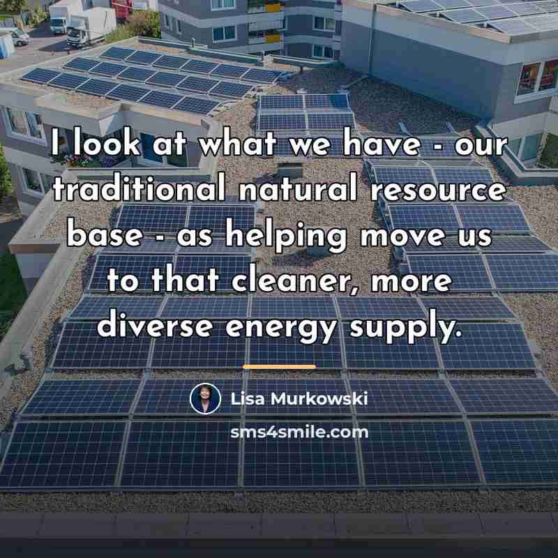“I look at what we have - our traditional natural…” quote by Lisa Murkowski