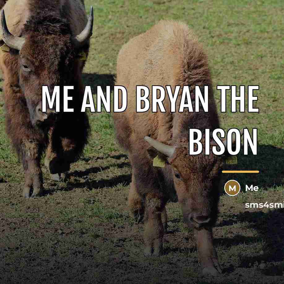 “Me and bryan the bison…” quote by Me